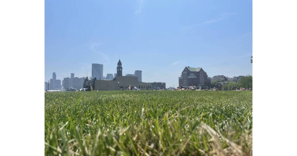 Lineup for Return of Hoboken River City Fair