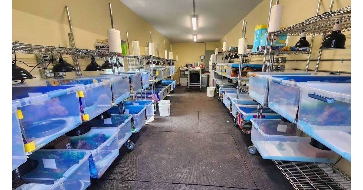 Cranford Turtle Rescue Update: Here's Where the Rescued Turtles Are Now