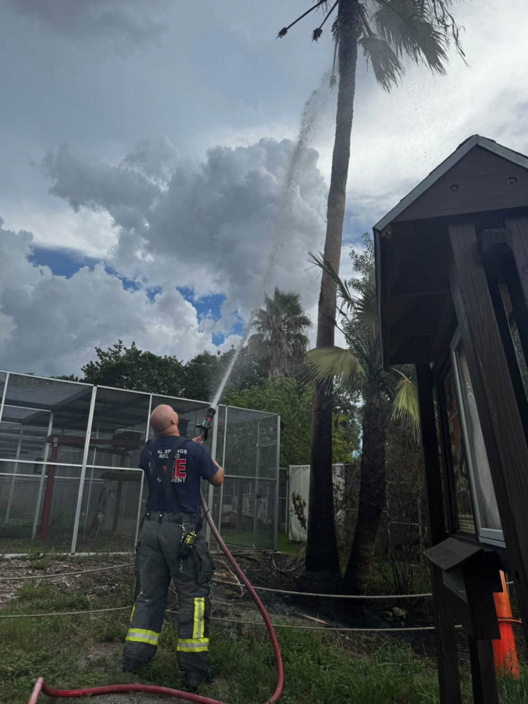Lightning Struck Sawgrass Nature Center in Coral Springs, Causing Fires; No Injuries Reported